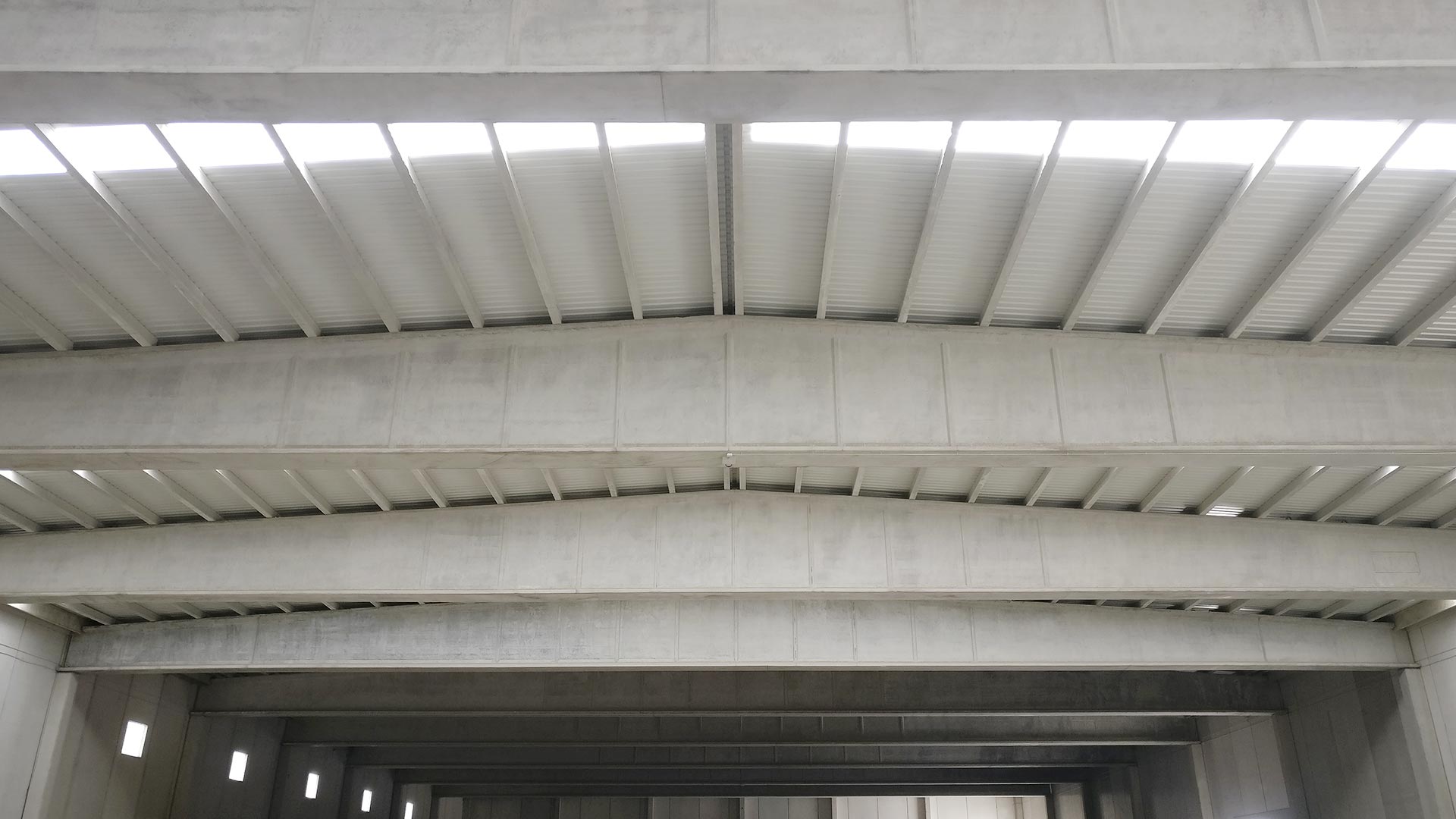 Interior de la nave agrícola de la Cooperativa San José